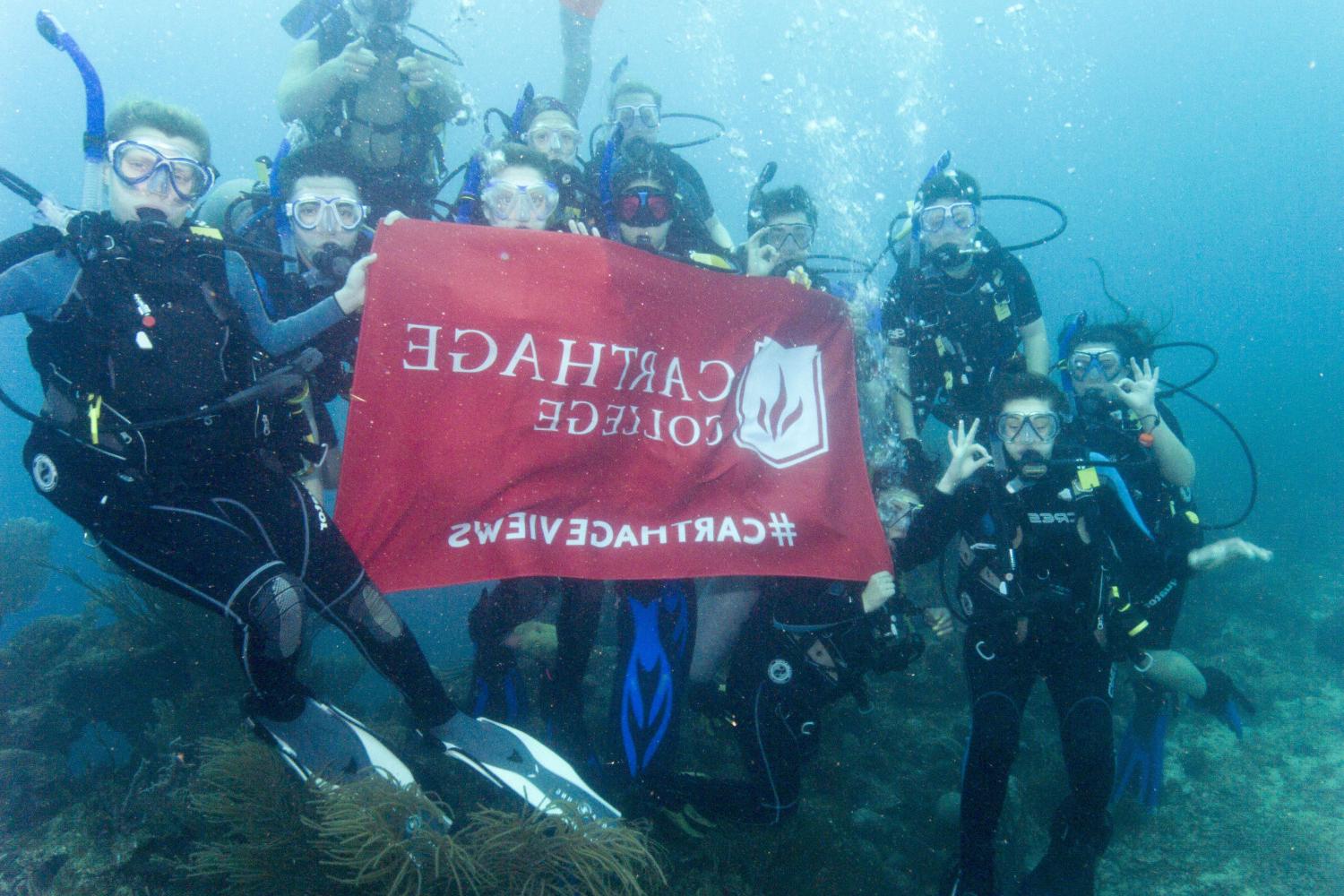 学生们手持<a href='http://pzsbo8q.uc800hr.com'>博彩网址大全</a>旗帜，在j学期洪都拉斯游学之旅中潜水.